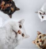 20220805_004040.png