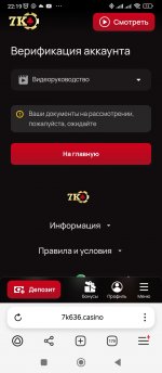Screenshot_2025-04-20-22-19-53-723_com.yandex.browser.jpg