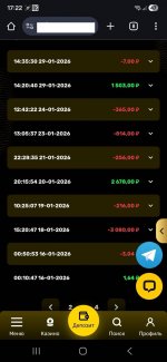 Screenshot_20260213_172237_Chrome 2 — крупный размер.jpeg