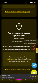 IMG_3119.png
