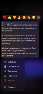 IMG_6481.jpeg