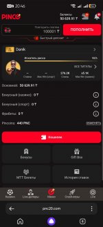 Screenshot_20260731_204604_com.yandex.searchapp.jpg