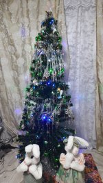 IMG_20231222_193301_976.jpg